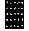 Skullduggery by Boxer, Asa ( Author ) ON Dec-01-2011, Paperback