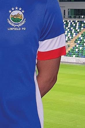 Every Other Saturday: Linfield, the Irish League, and the Changing World of European Football 1986-2016