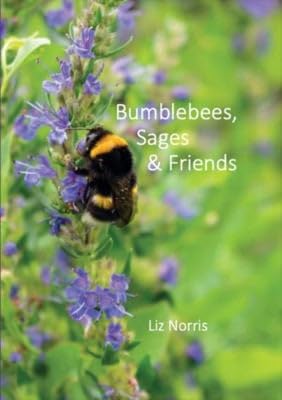 Bumblebees, Sages and Friends