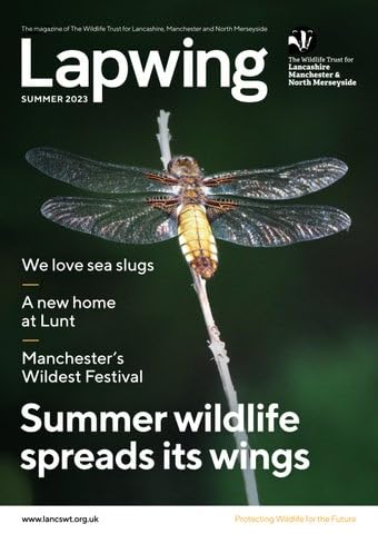 Lapwing, Summer 2023 – the Magazine of the Wildlife Trust for Lancashire Manchester and North Merseyside