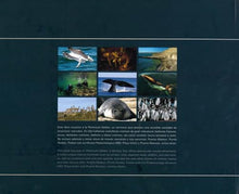 Load image into Gallery viewer, Peninsula Valdes – Patrimonio de la Humanidad