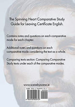 Load image into Gallery viewer, The Spinning Heart Comparative Study Guide