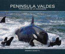 Load image into Gallery viewer, Peninsula Valdes – Patrimonio de la Humanidad