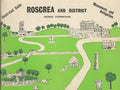 Roscrea and District: Illustrated Guide - Monuments and Antiquities