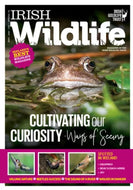 Irish Wildlife, Spring 2024: Magazine of the Irish Wildlife Trust: Ways of seeing, goldfinch, devil's coach-horse, jay, valuing nature, beetles, sound of a river, wolves in danger