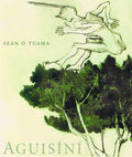 Aguisíní