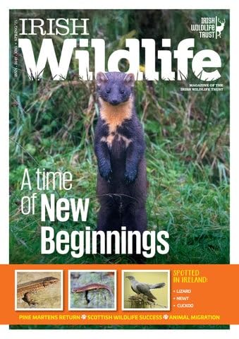 Irish Wildlife, Spring 2025: Magazine of the Irish Wildlife Trust - Lizards, Newts, Cuckoos, Pine Martens, Scottish Wildlife, Animal Migration