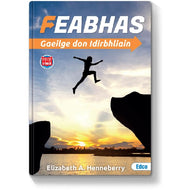 Feabhas: Gaeilge don Idirbhliain