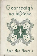 Gearrcaigh na hoíche.