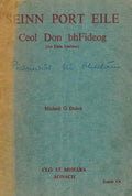 Seinn Port Eile: Ceol Don bhFideog (An Dara Leabhar)