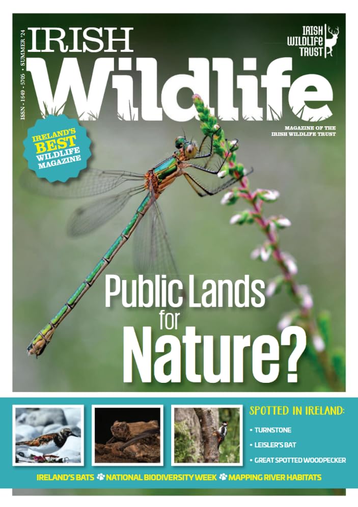 Irish Wildlife, Summer 2024: Magazine of the Irish Wildlife Trust - Public lands for nature? Turnstone, Leisler's bat, great spotted woodpecker, Ireland's bats, Biodiversity Week, river habitats