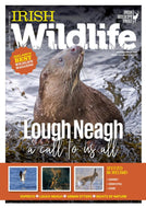 Irish Wildlife, Winter 2023: Magazine of the Irish Wildlife Trust - Lough Neagh, Osprey, Deer Stag, Hare, Urban Otters, Rights of Nature