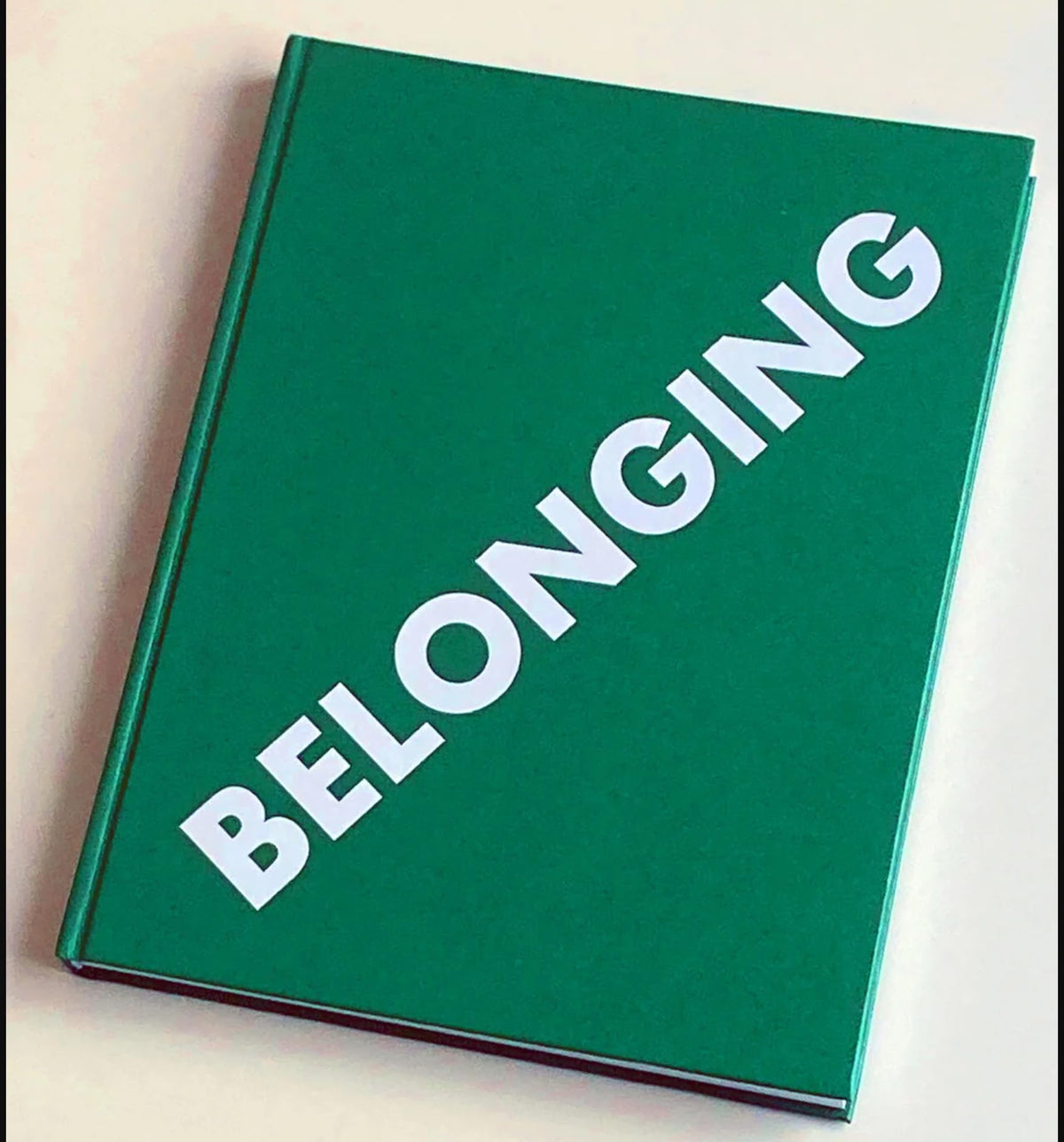 Belonging: European Investment Bank, Limerick, 2022 (Hunt Museum/EIB exhibition)
