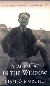 Black Cat in the Window