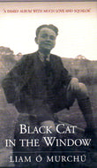 Black Cat in the Window