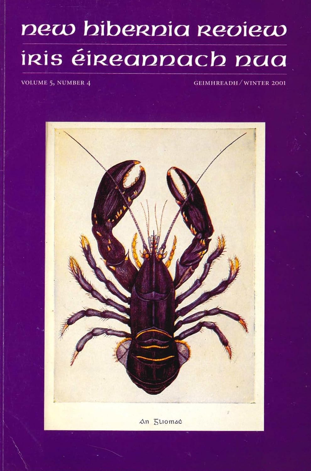 New Hibernia Review/Irish Éireannach Nua, Volume 5, Number 4 - Geimhreadh/Winter 2001