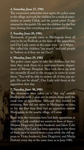 Load image into Gallery viewer, Medjugorje - the first seven days