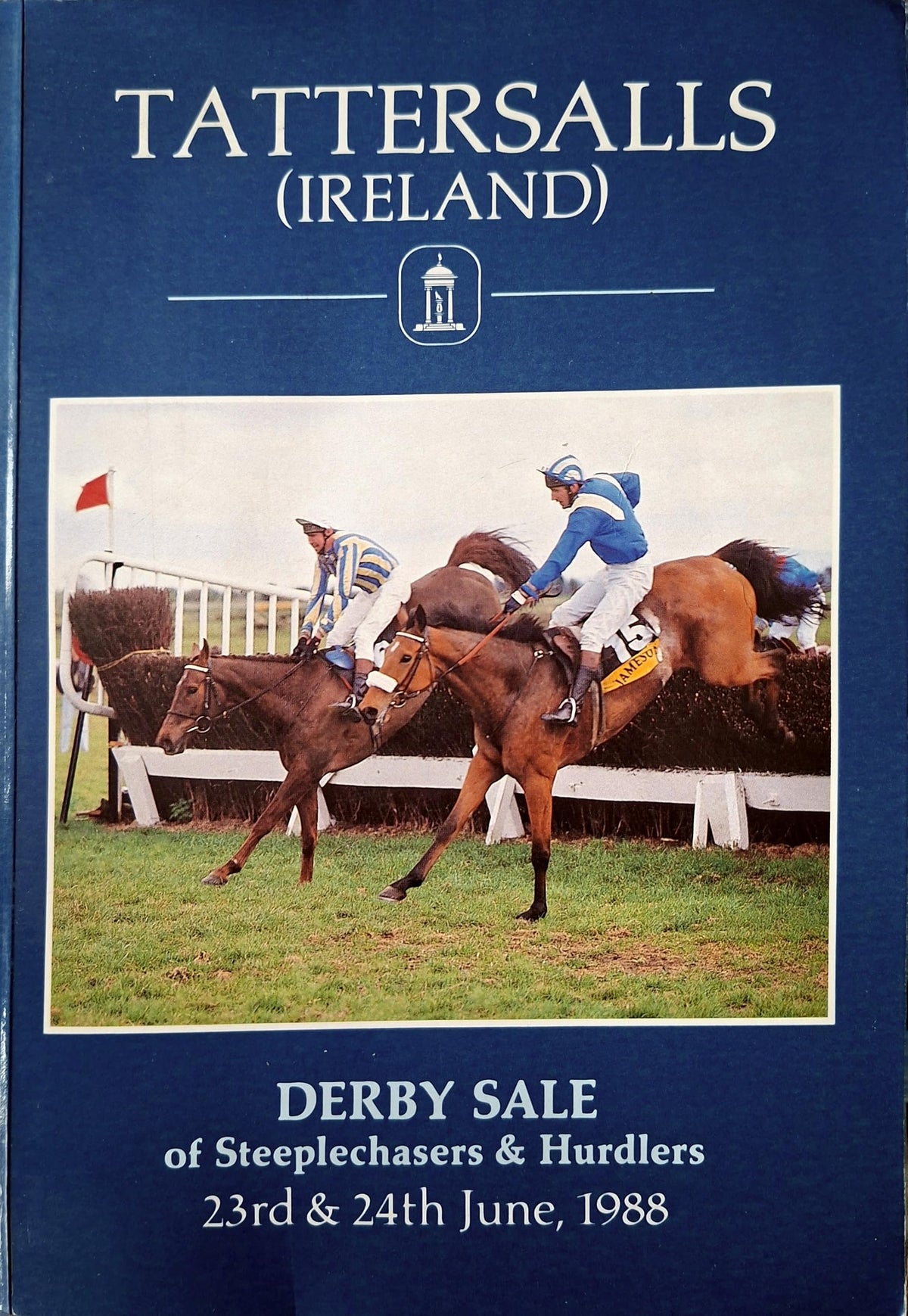 Tattersalls (Ireland) Derby Sale of Steeplechasers & Hurdlers catalogue, 23-24 June 1988, RDS Ballsbridge, Dublin – National Hunt bloodstock sale; Perris Valley Irish Grand National cover