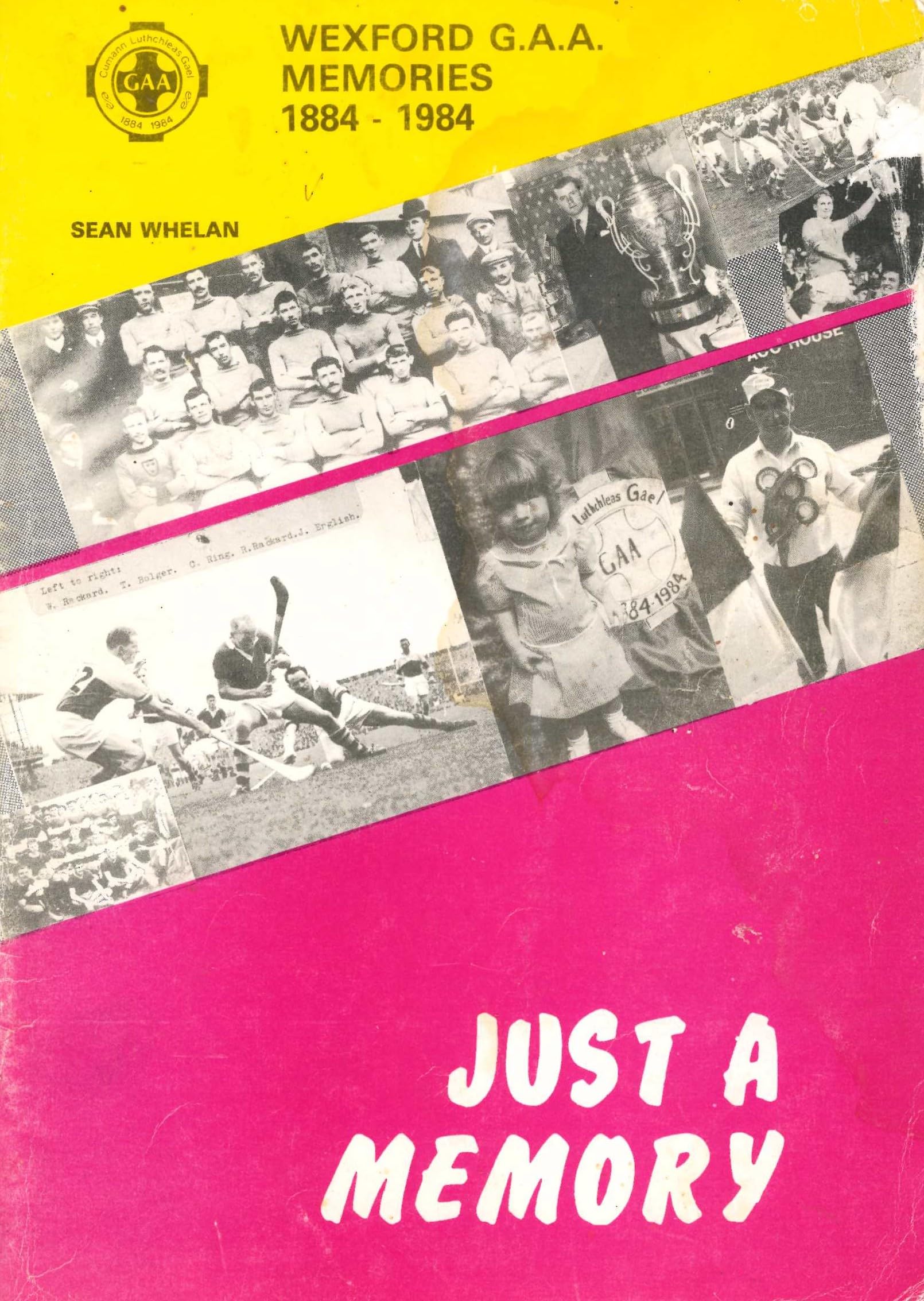 Just A Memory: Wexford GAA Memories, 1884-1984