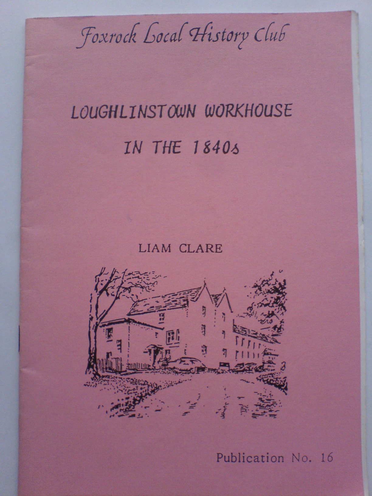 Loughlinstown workhouse in the 1840s (Foxrock Local History Club)