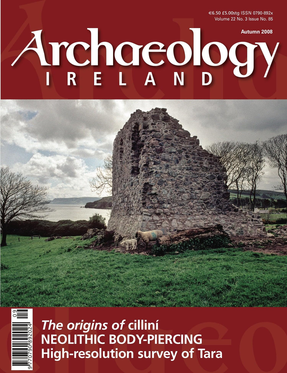 Archaeology Ireland magazine, Autumn 2008, Vol 22 No 3, Issue 85: The origins of cillíní; Neolithic body-piercing, LiDAR survey of Tara, Kinsale 1601, bedrock mortars