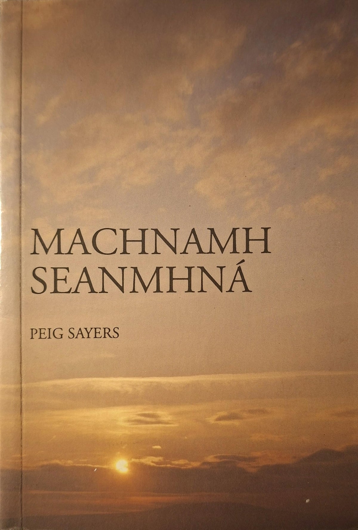 Machnamh Seanmhna