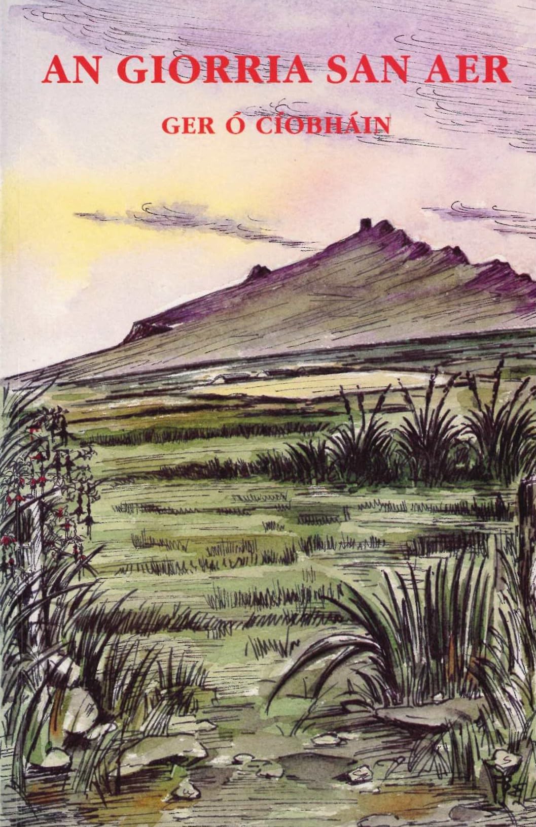 Giorria San Aer