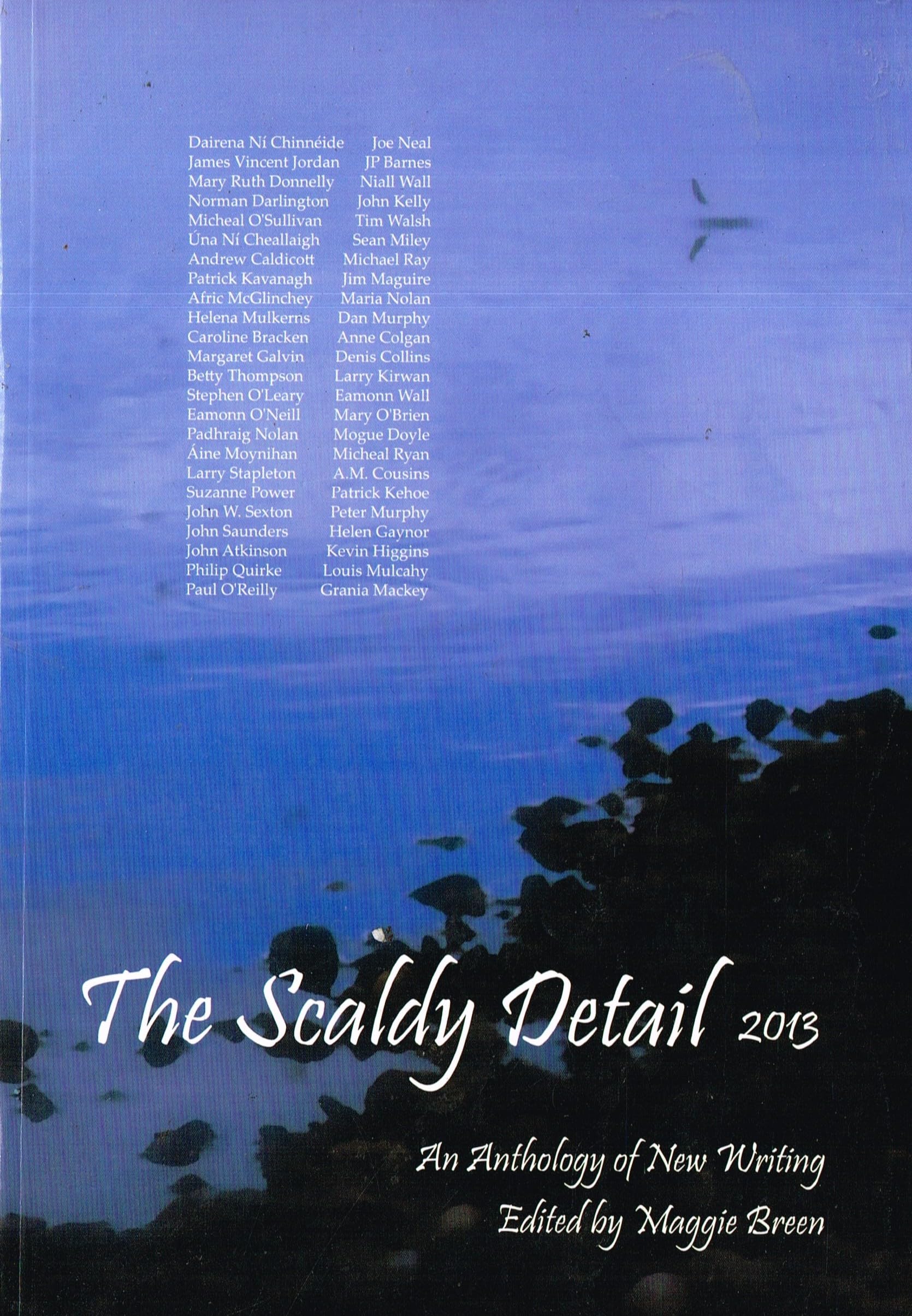 The Scaldy Detail 2013: An Anthology of New Writing