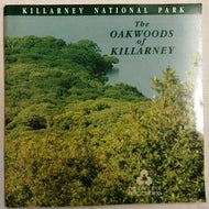 The Oakwoods of Killarney