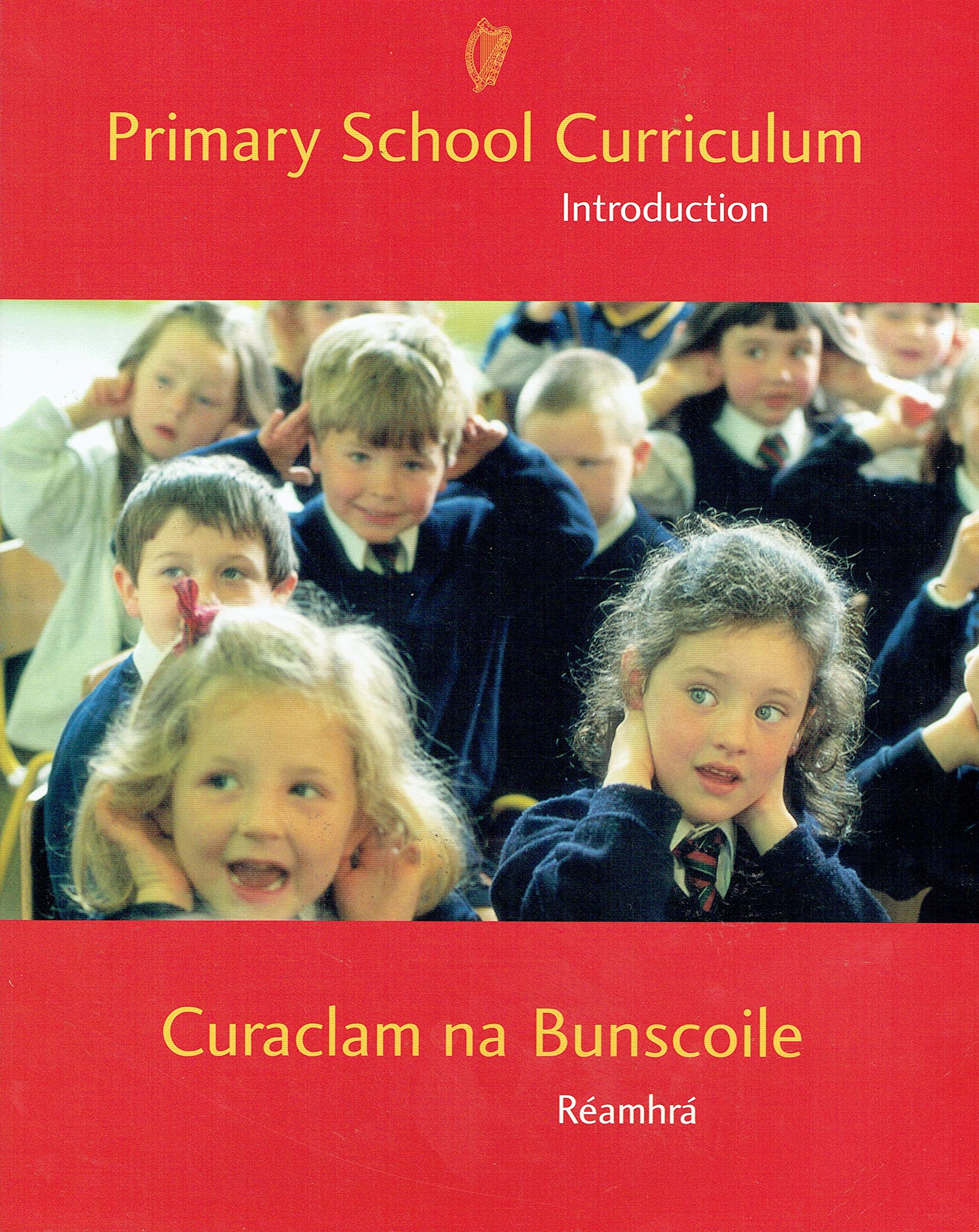 Primary school curriculum: Introduction