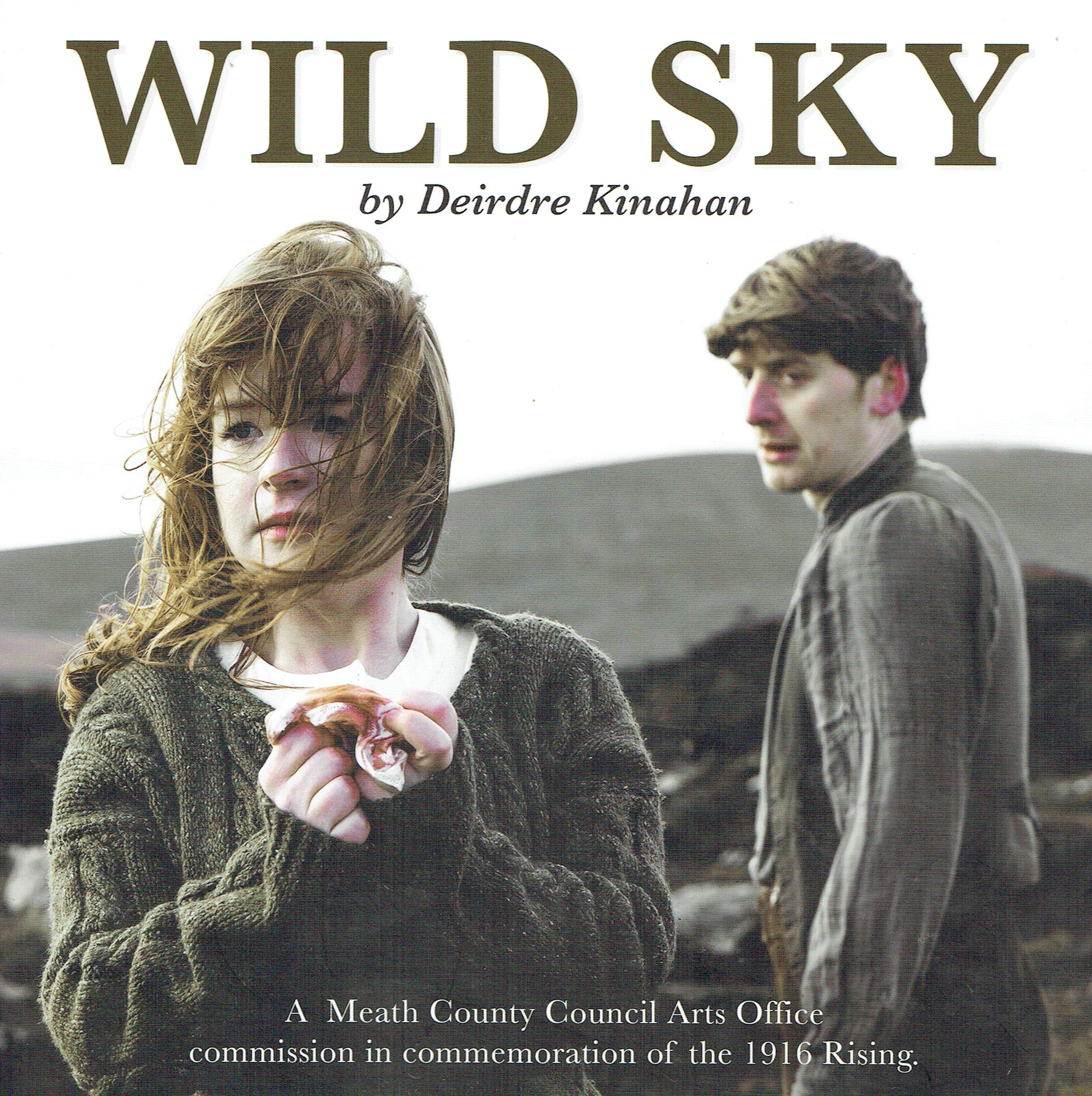 Wild Sky: A Meath County Council Arts Office Commission in Commemoration of the 1916 Rising