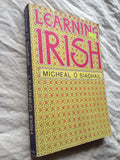 Learning Irish: An Introductory Self-Tutor