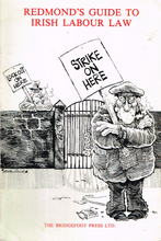 Load image into Gallery viewer, Redmond's Guide to Irish Labour Law