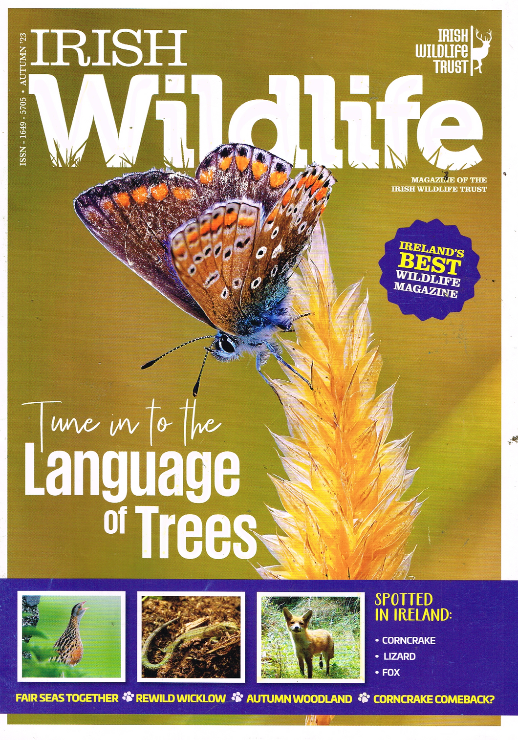 Irish Wildlife, Autumn 2023: Magazine of the Irish Wildlife Trust: Language of Trees, Corncrake, Lizard, Fox, Fair Seas together, Reqild Wicklow, Autumn Woodland