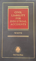 Civil liability for Industrial Accidents Volume I - The General  Part