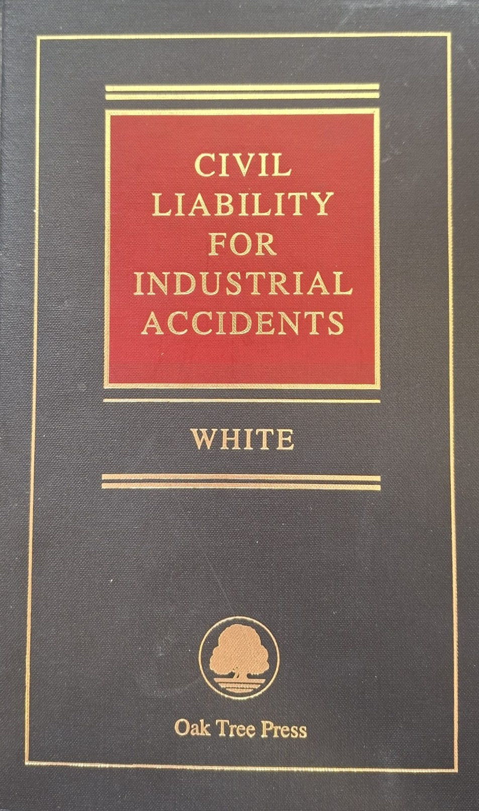 Civil liability for Industrial Accidents Volume I - The General  Part