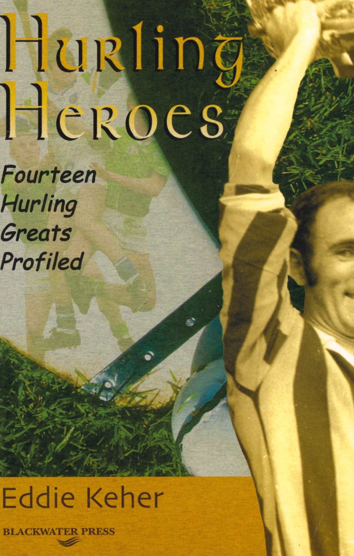 Hurling Heroes: Fourteen Hurling Greats Profiled