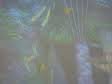 Jane O'Malley: New and Selected Works