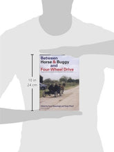 Load image into Gallery viewer, Between Horse and Buggy and Four-Wheel Drive: Change and Diversity Among Mennonite Settlements in Belize, Central America