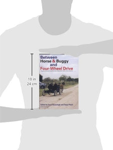 Between Horse and Buggy and Four-Wheel Drive: Change and Diversity Among Mennonite Settlements in Belize, Central America