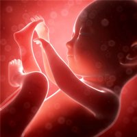 Load image into Gallery viewer, Preparation for Pregnancy, Birth and Motherhood: Recommended Reading for Prospective Parents
