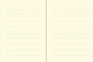 Beach Rules Journal (Diary, Notebook)