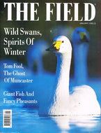 The Field magazine, January 1999: Wild swans, winter, Tom Fool, the Ghost of Muncaster, giant fish, fancy pheasants