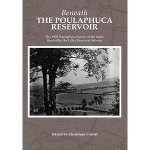 Beneath the Poulphuca Reservoir