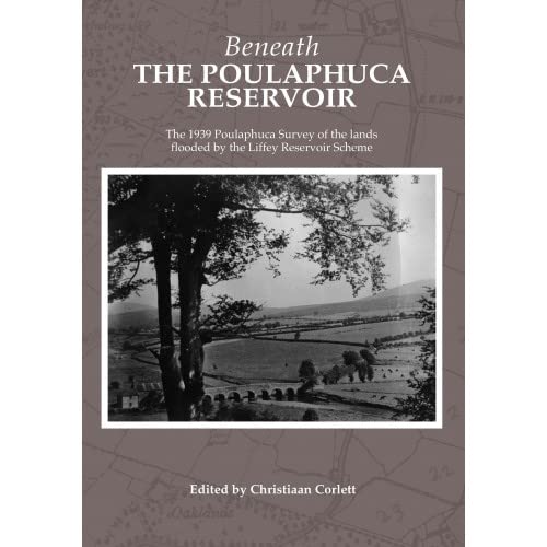 Beneath the Poulphuca Reservoir