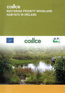 Coillte: Restoring Priority Woodland Habitats in Ireland