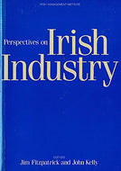 Perspectives on Irish Industry