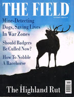 The Field magazine, October 1999: mine-detecting dogs, war zones, badger culling, racehourses, the Highland rut