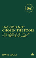 Has God Not Chosen the Poor?: The Social Setting of the Epistle of James: No. 206 (The Library of New Testament Studies)