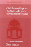 Civil Proceedings and the State in Ireland: A Practitioner's Guide